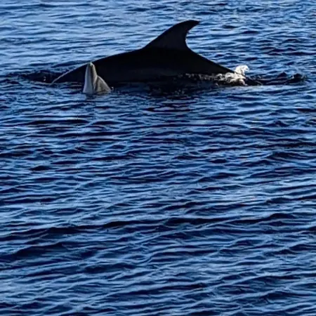 Bed & Breakfast L'alga 3*