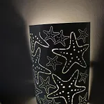 L'alga 4*