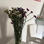 L'alga Bed & Breakfast