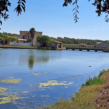 L'alga