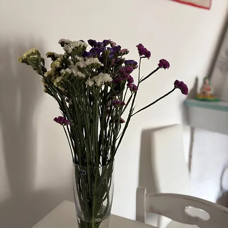 L'alga Nocleg ze śniadaniem